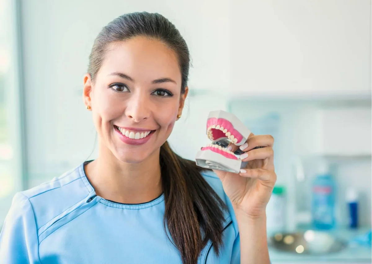 Dental professional using a teeth model to explain smile makeover before and after treatment options.
